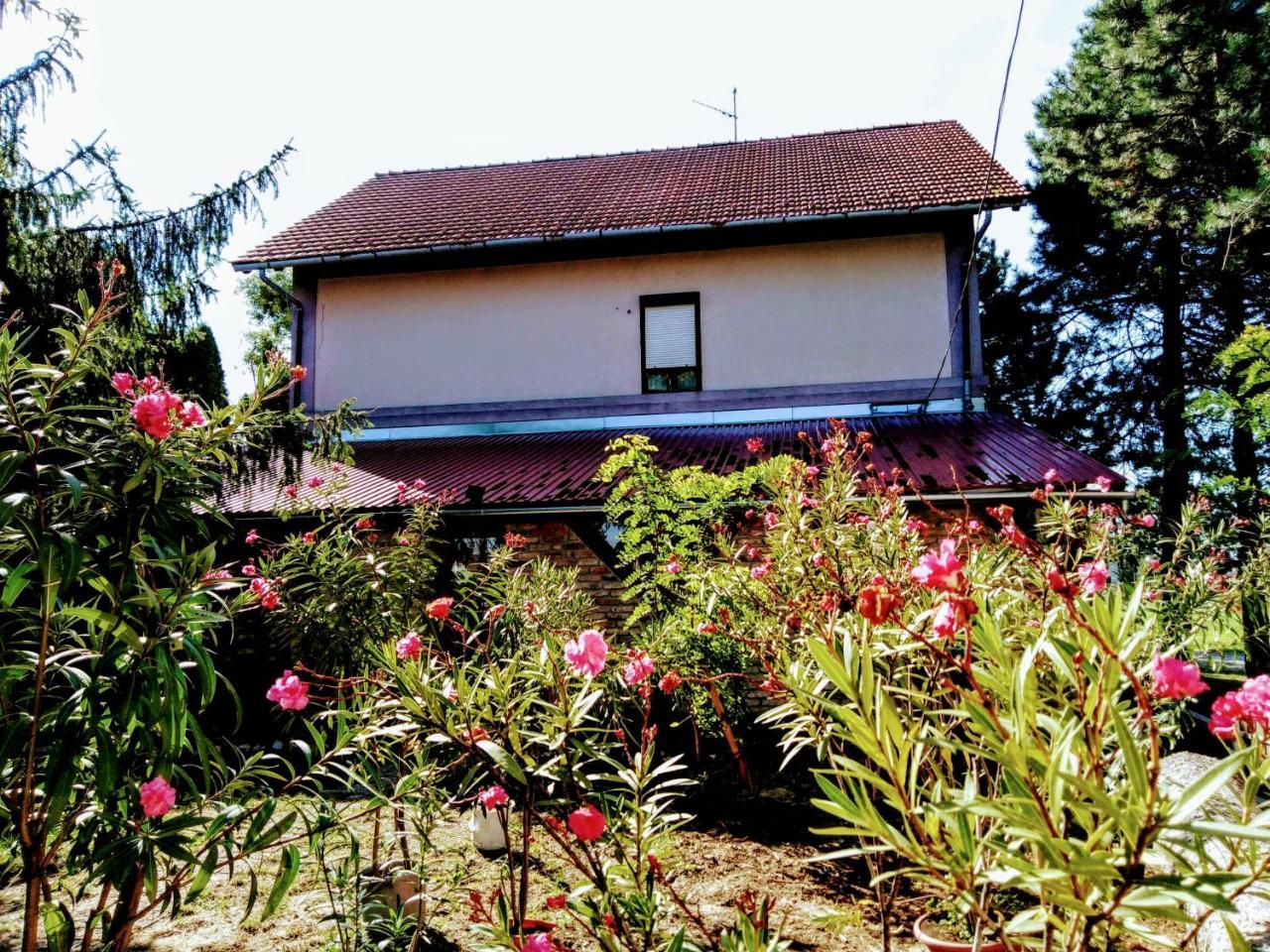 Locomotiv Vendeghaz Hercegszanto Dış mekan fotoğraf